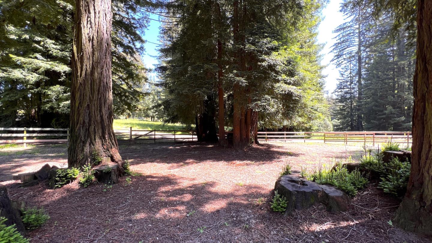 3675 Bonny Doon Road Santa Cruz, CA 95060 - Photo 31 of 59 a view of a yard with swimming pool