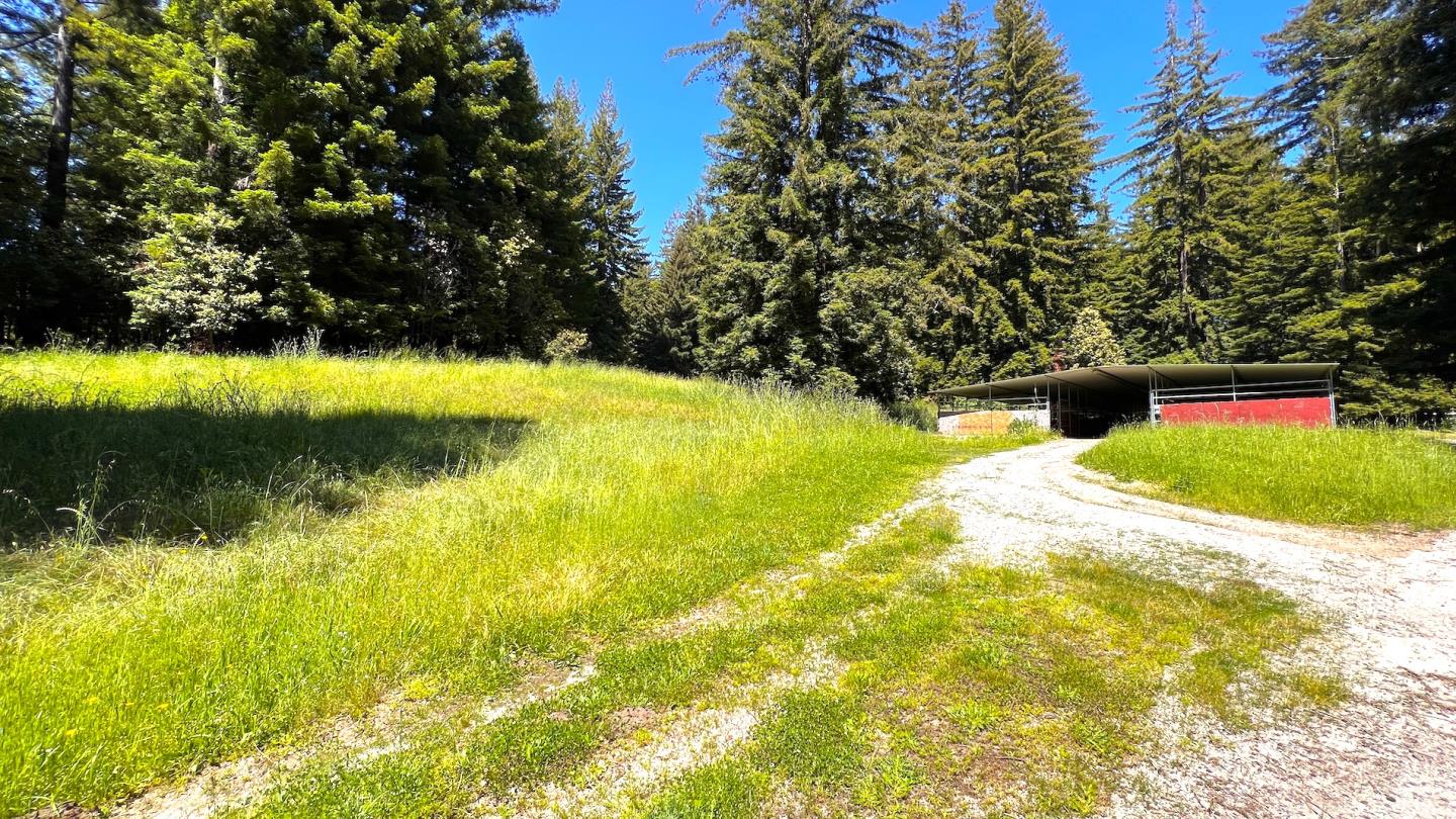 3675 Bonny Doon Road Santa Cruz, CA 95060 - Photo 38 of 59 a view of yard with green space