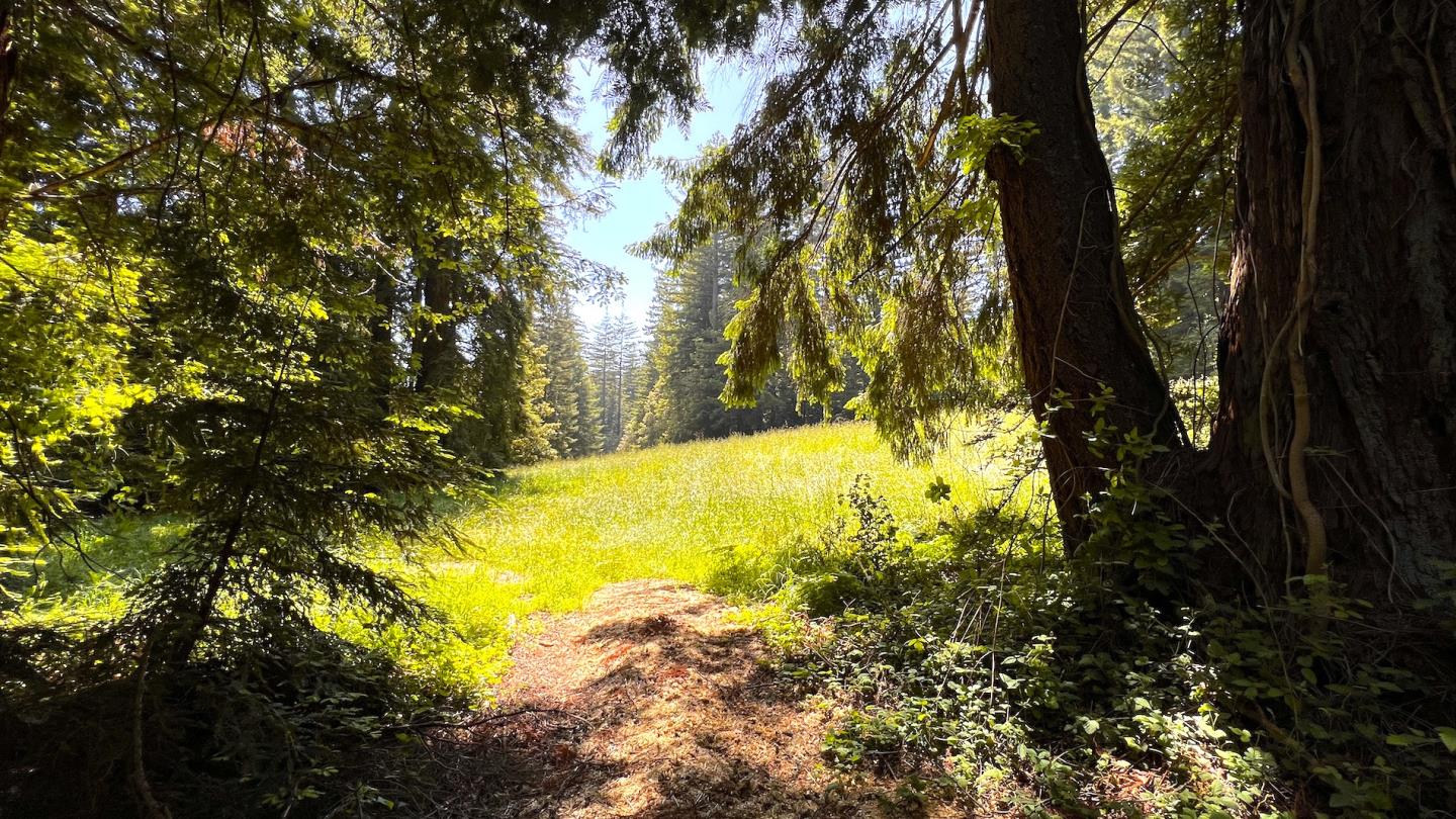 3675 Bonny Doon Road Santa Cruz, CA 95060 - Photo 42 of 59 a view of yard with swimming pool