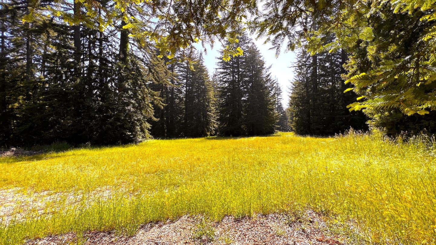 3675 Bonny Doon Road Santa Cruz, CA 95060 - Photo 48 of 59 a view of beach and ocean