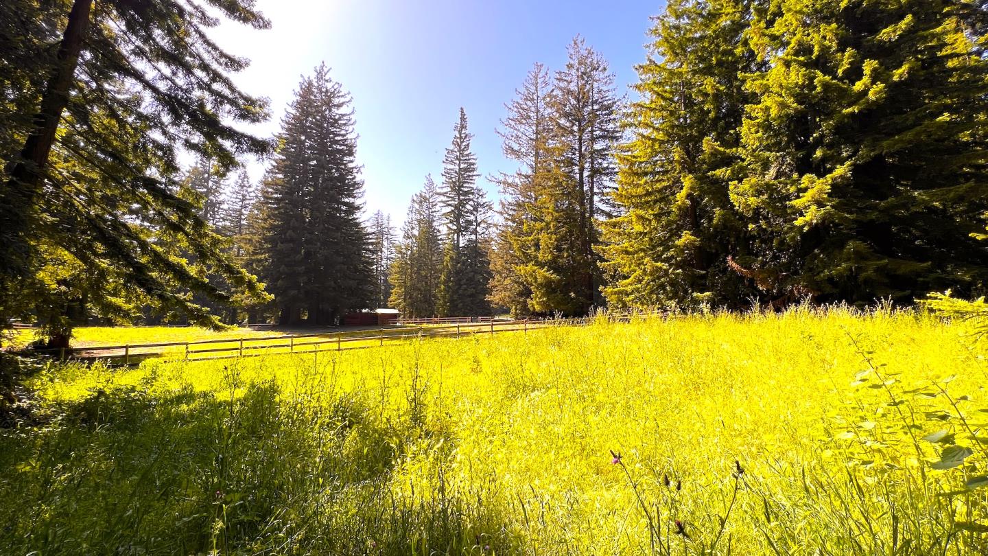 3675 Bonny Doon Road Santa Cruz, CA 95060 - Photo 49 of 59 a view of a swimming pool with an outdoor space and seating area
