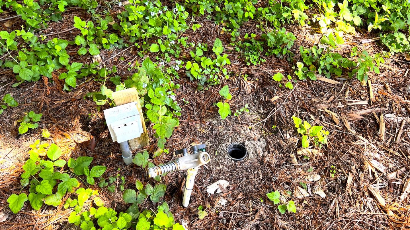 3675 Bonny Doon Road Santa Cruz, CA 95060 - Photo 50 of 59 a picture of plants