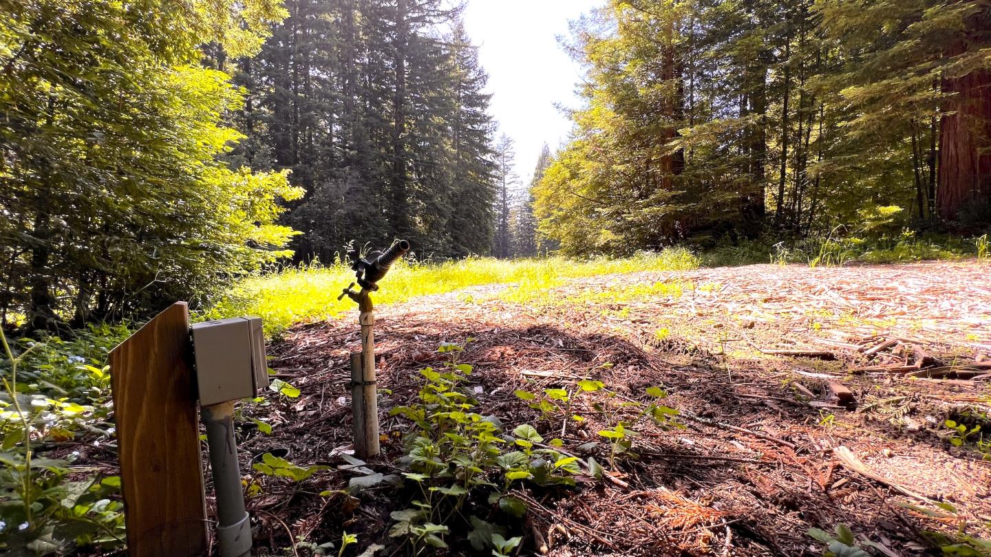 3675 Bonny Doon Road Santa Cruz, CA 95060 - Photo 51 of 59 a view of a yard with wooden fence