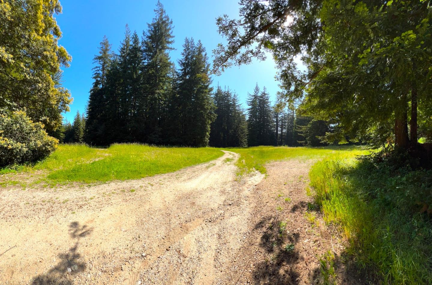 3675 Bonny Doon Road Santa Cruz, CA 95060 - Photo 58 of 59 a view of a swimming pool with a yard