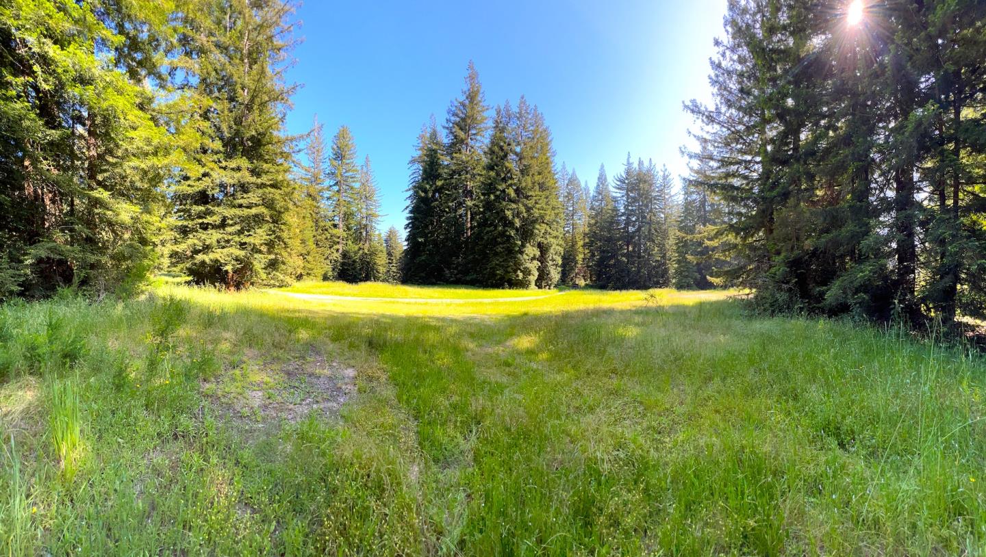 3675 Bonny Doon Road Santa Cruz, CA 95060 - Photo 59 of 59 a view of an outdoor space and a yard