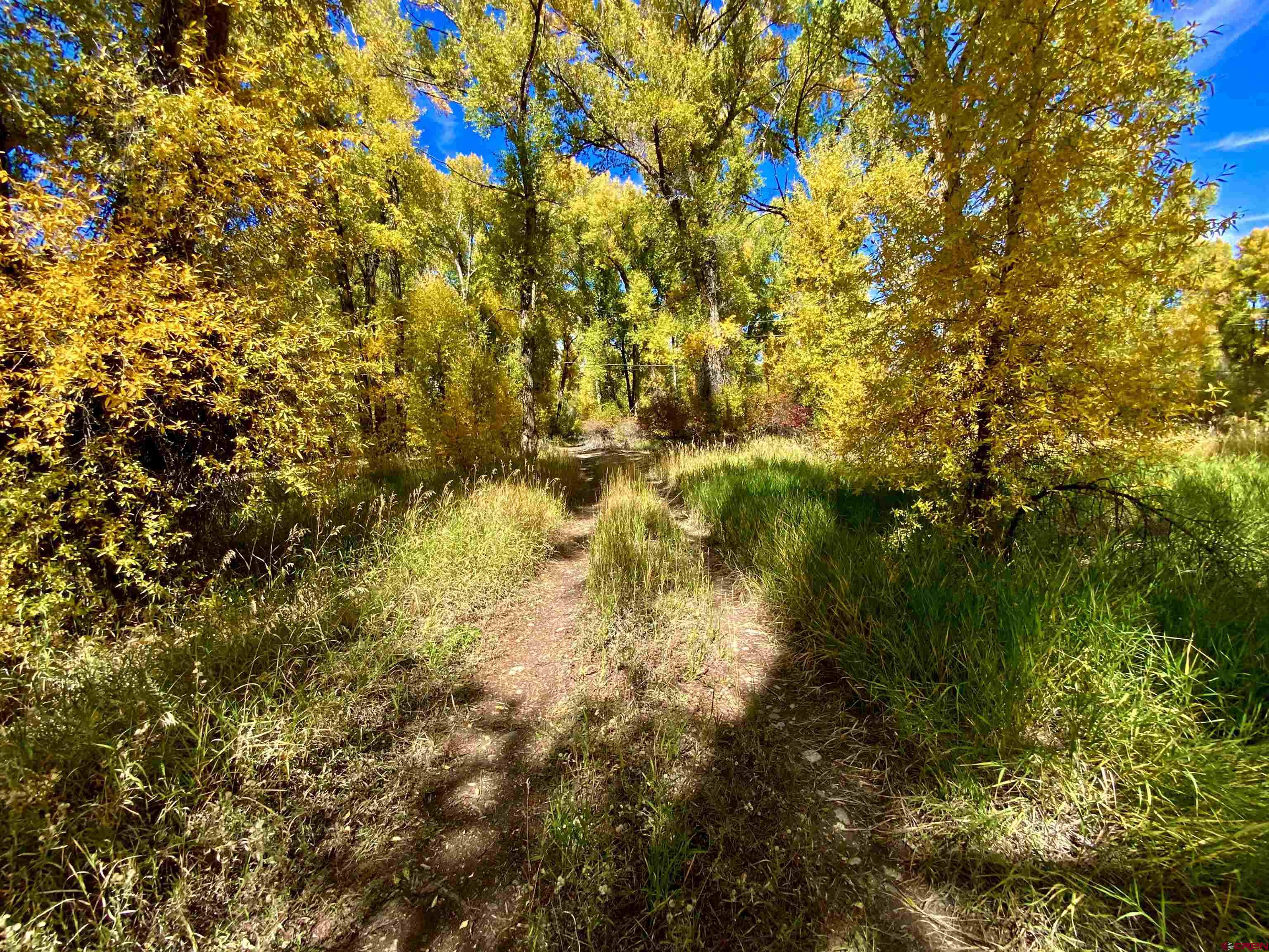 350 Rio Vista Road Gunnison, CO 81230 - Photo 4 of 16 Gallery Image 4