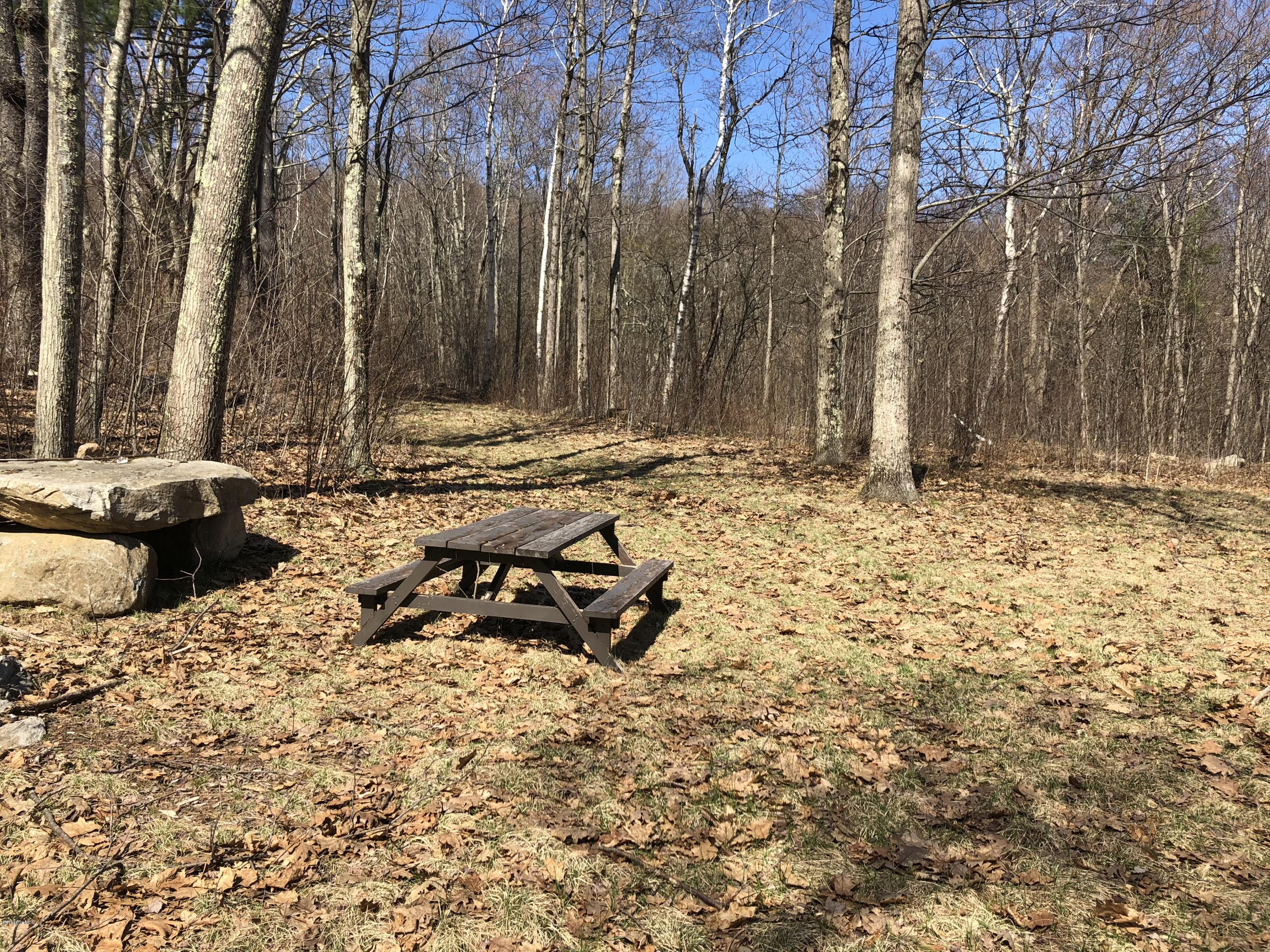 Old Beartown Road Monterey, MA 01245 - Photo 1 of 1 a view of a backyard with a large tree
