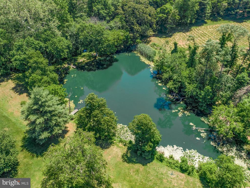 3155 Jones Road Dunkirk, MD 20754 - Photo 4 of 89 Pond with dock