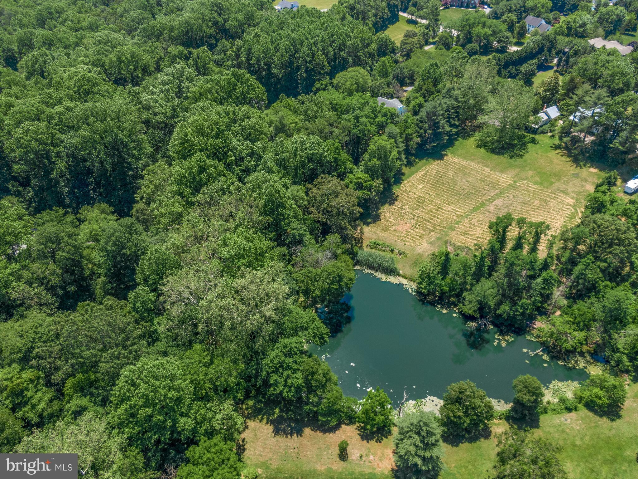 3155 Jones Road Dunkirk, MD 20754 - Photo 5 of 89 Private pond on property