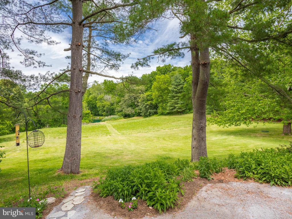 3155 Jones Road Dunkirk, MD 20754 - Photo 56 of 89 Back yard