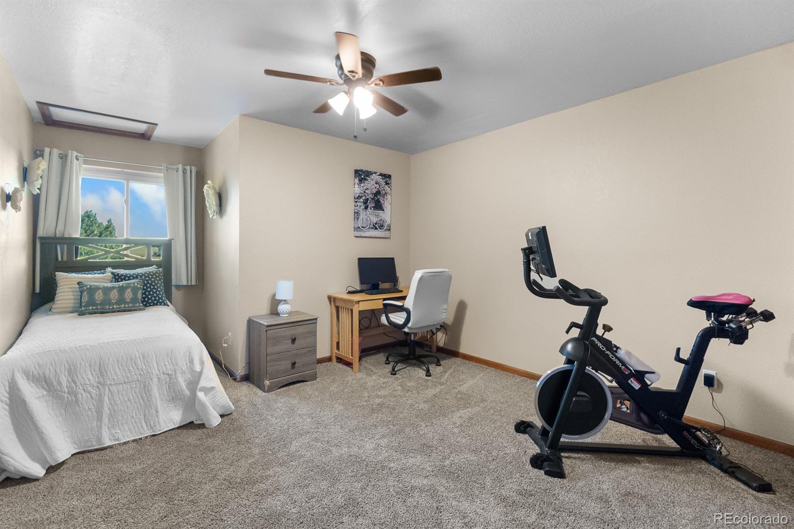 3163 Windstream Lane Elizabeth, CO 80107 - Photo 21 of 48 a bedroom with furniture and a gym equipment