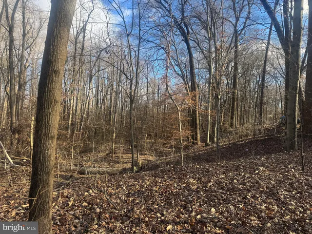 $25,000 | Ridge Road, Easton, MD 21601