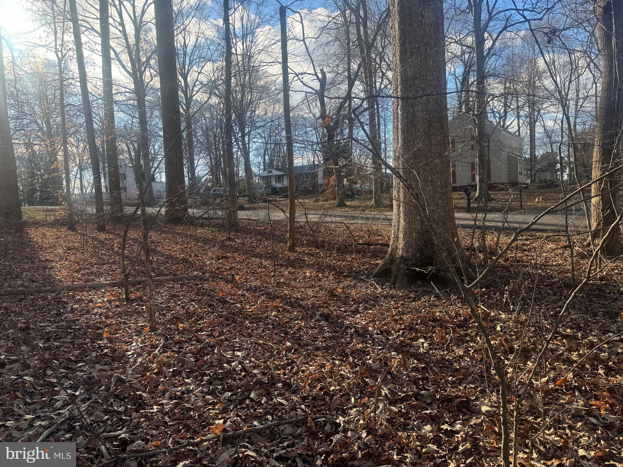 Ridge Road Easton, MD 21601 - Photo 13 of 17 a backyard of a house with lots of green space