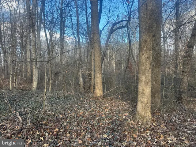 $25,000 | Ridge Road, Easton, MD 21601