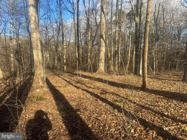 $25,000 | Ridge Road, Easton, MD 21601