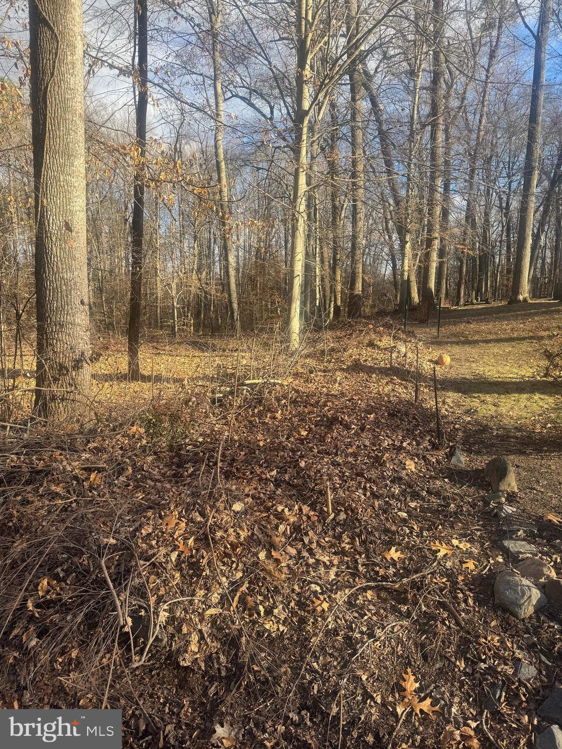 Ridge Road Easton, MD 21601 - Photo 4 of 17 a backyard of a house with lots of green space