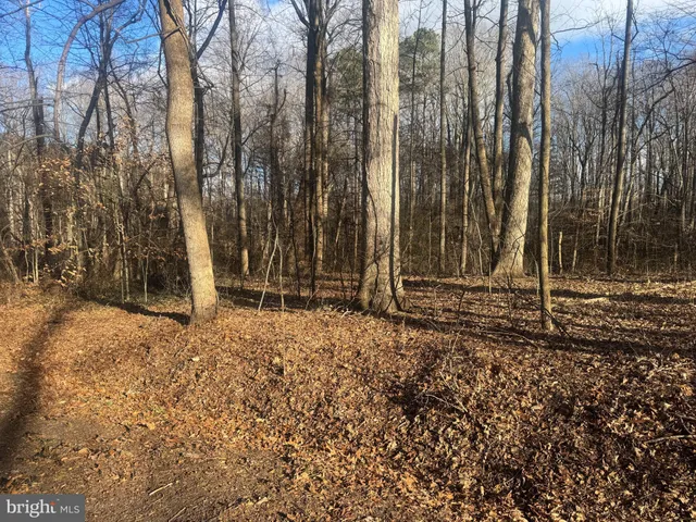 $25,000 | Ridge Road, Easton, MD 21601