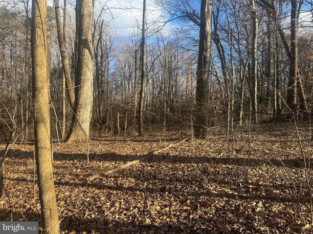 $25,000 | Ridge Road, Easton, MD 21601