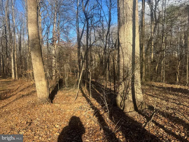 $25,000 | Ridge Road, Easton, MD 21601