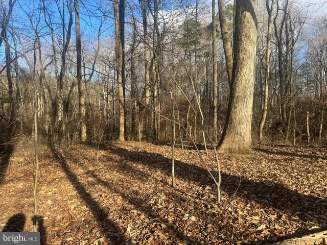 $25,000 | Ridge Road, Easton, MD 21601