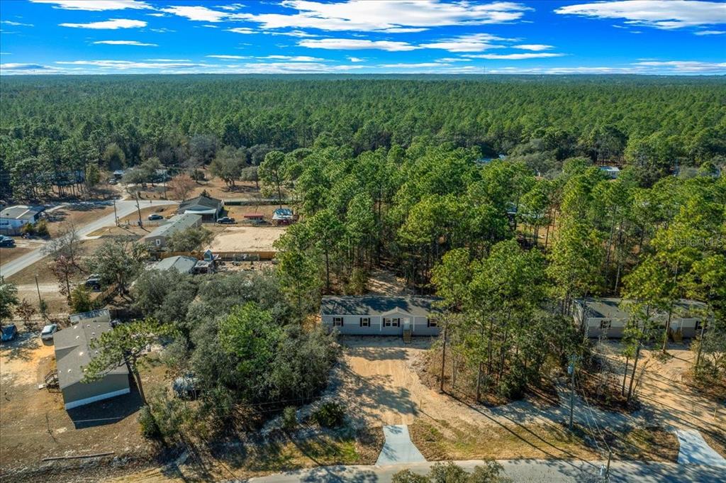 4181 Southwest 168th Circle Ocala, FL 34481 - Photo 7 of 47