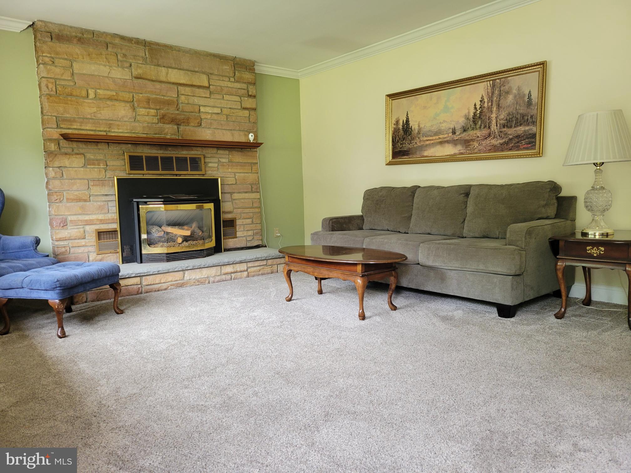 1017 Hanson Road Joppa, MD 21085 - Photo 5 of 14 Living Room