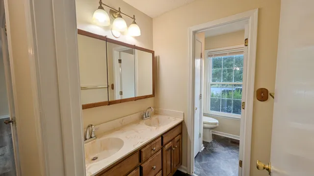 a bathroom with a sink a toilet and a mirror