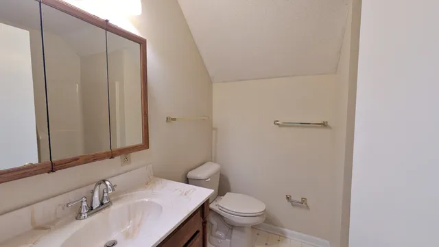 a bathroom with a sink and a toilet