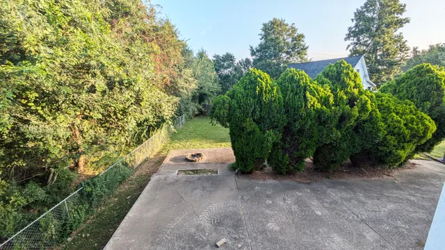 a view of a yard with plants and trees