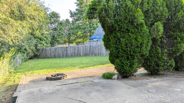 a view of a backyard with tree s