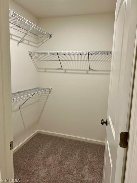 103 Slope Lane Advance, NC 27006 - Photo 19 of 33 Primary Closet
