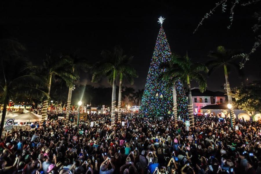 115 Northeast 18th Street Delray Beach, FL 33444 - Photo 33 of 36