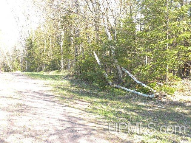 Tbd Clement Road Saxon, WI 54559 - Photo 26 of 34
