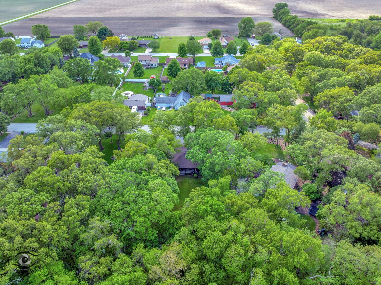 20 Deerfield Avenue Kankakee, IL 60901 - Photo 27 of 36 a view of a garden with a flower