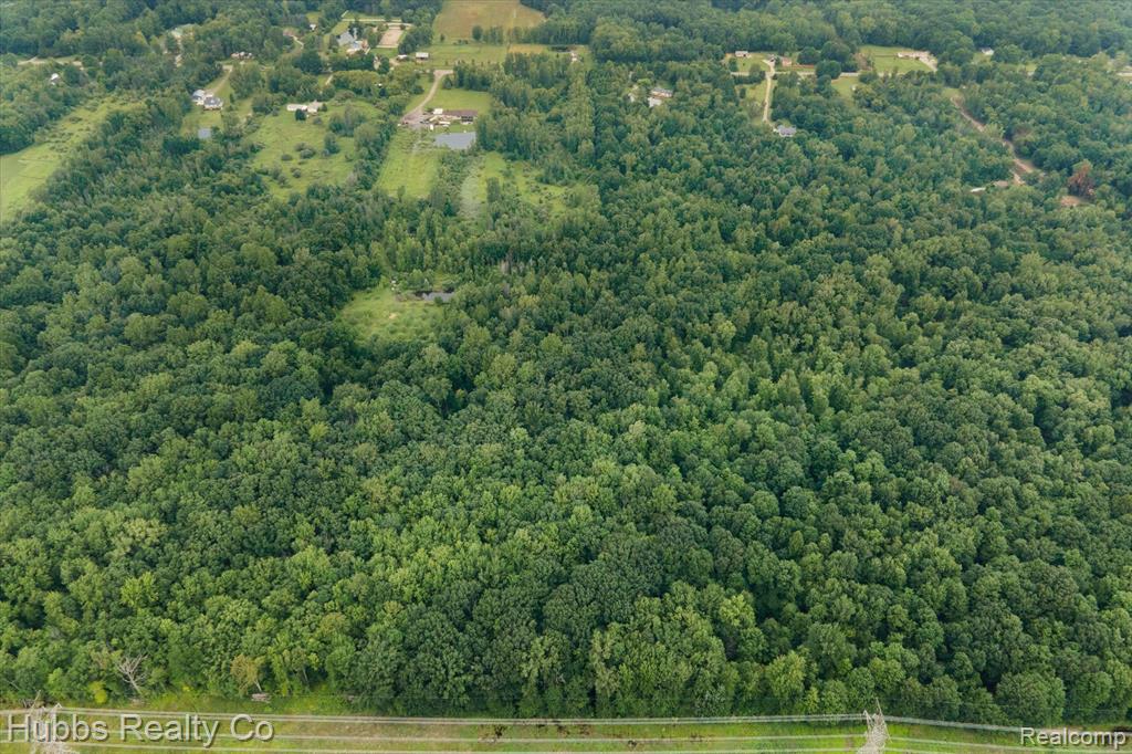 0 Birch Run Road Millington, MI 48746 - Photo 7 of 14