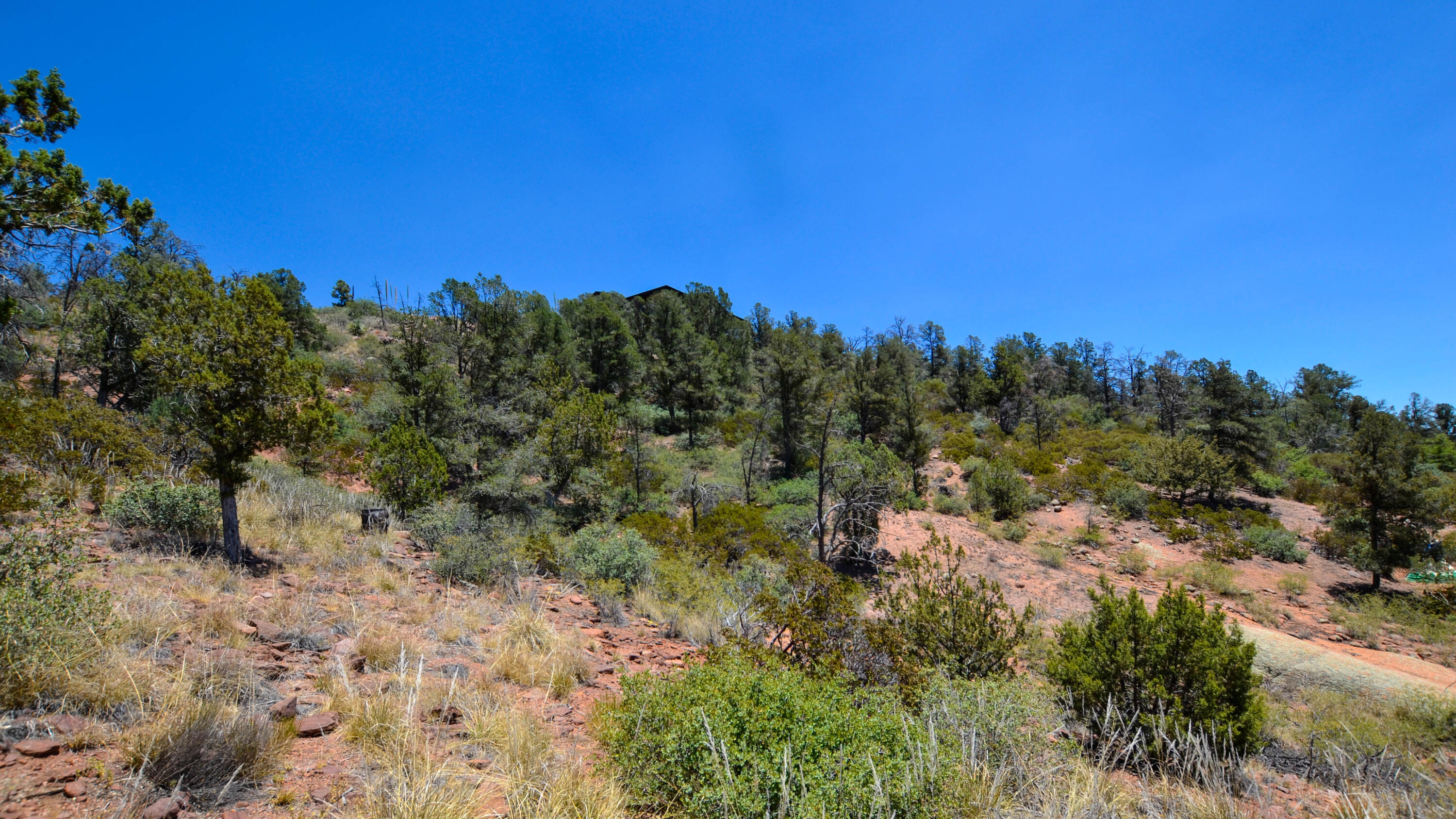 807 Thunder Ridge Circle Payson, AZ 85541 - Photo 5 of 11 a view of a large building with a mountain in the background