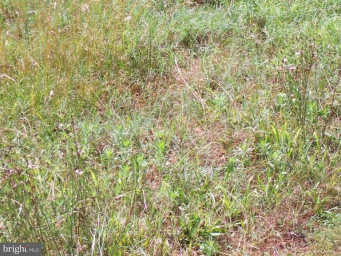 Railroad Lane Ruther Glen, VA 22546 - Photo 1 of 1 a close up of a wall