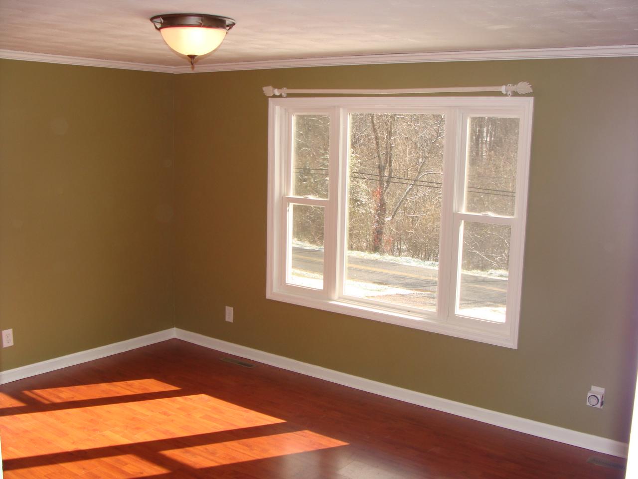 2397 Springwood Road Fincastle, VA 24090 - Photo 23 of 26 livingroom 2