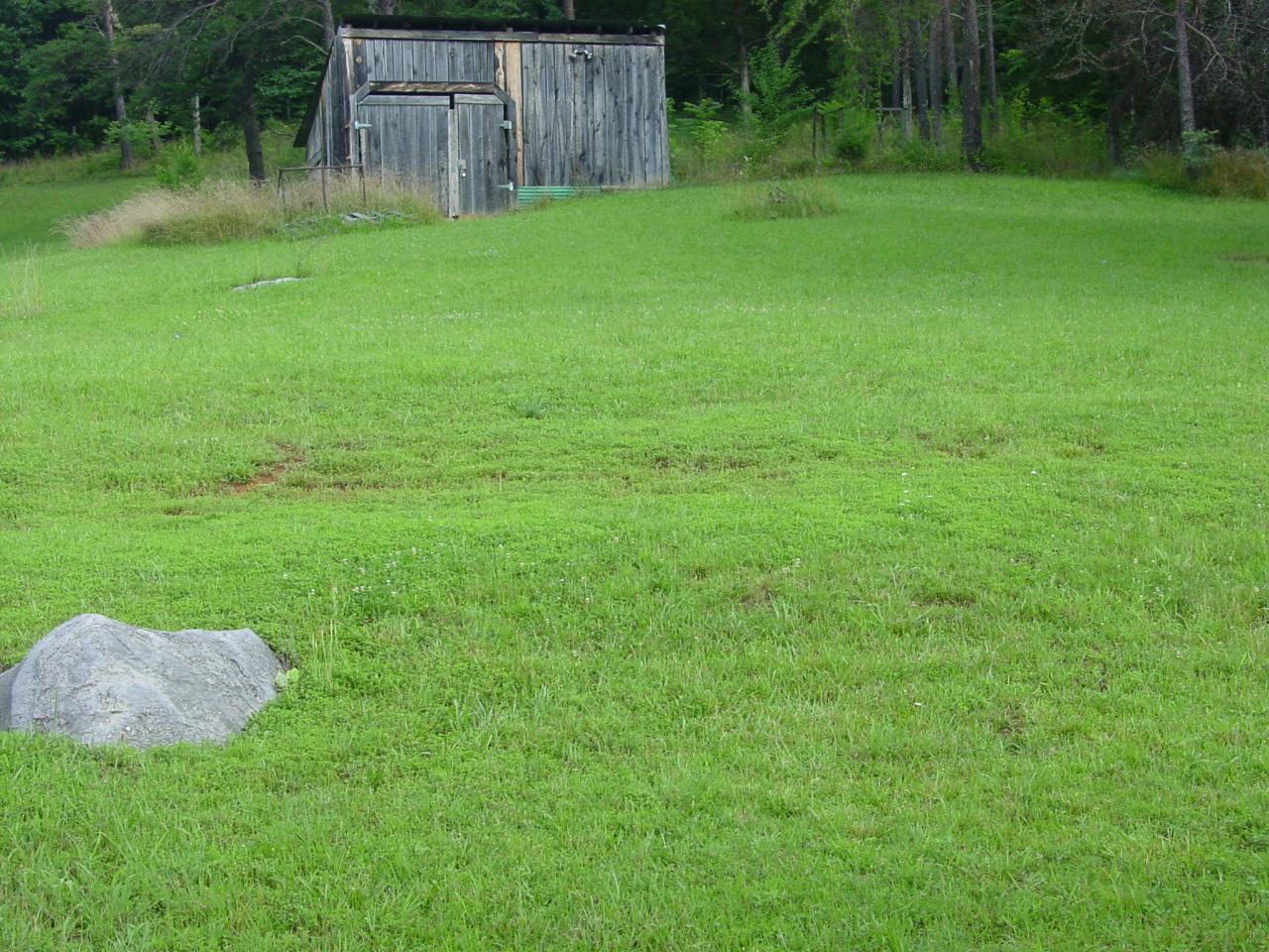 2397 Springwood Road Fincastle, VA 24090 - Photo 5 of 26 Back Yard