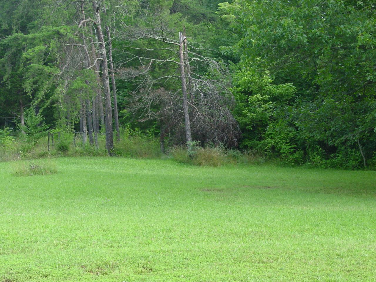 2397 Springwood Road Fincastle, VA 24090 - Photo 8 of 26 Back Yard