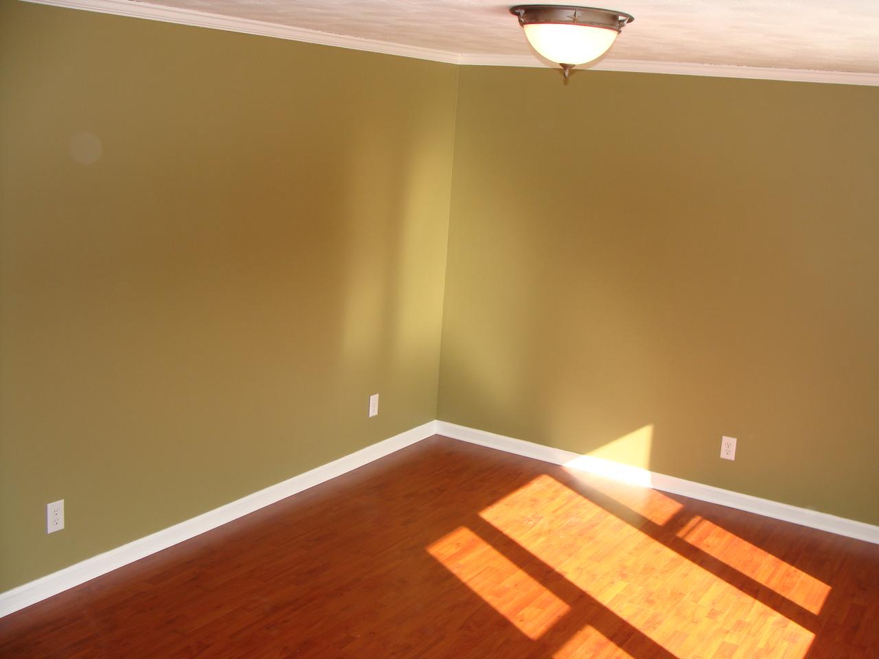 2397 Springwood Road Fincastle, VA 24090 - Photo 9 of 26 Livingroom