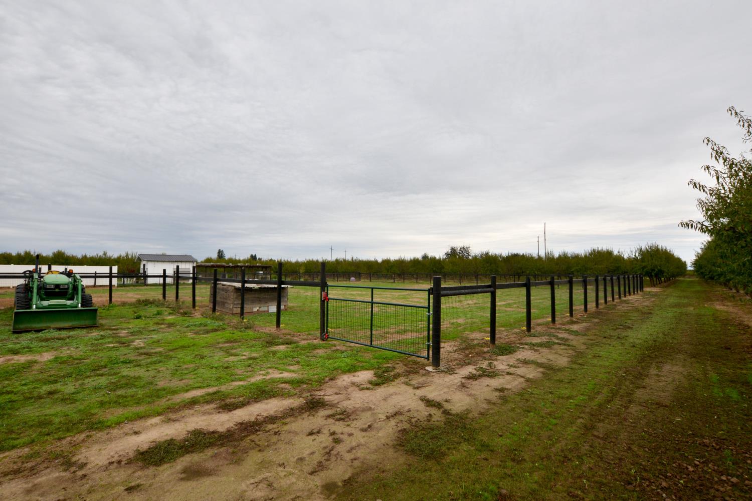 16464 Fox Road Lodi, CA 95240 - Photo 53 of 61