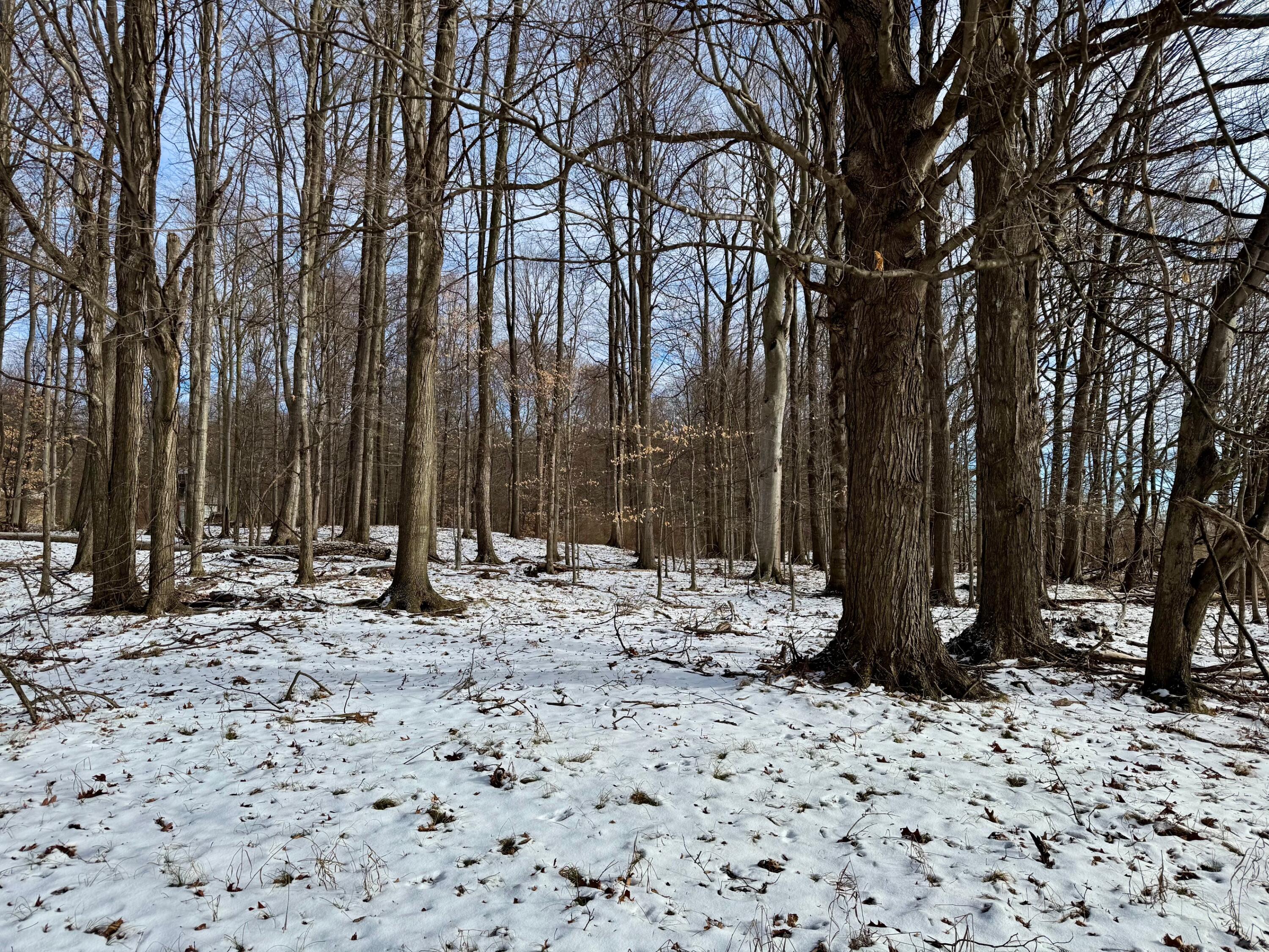 IMG_6702