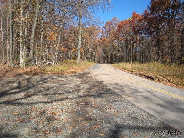 0 Mountain Spgs Road Alum Bank, PA 15521 - Photo 1 of 1 Gallery Image 1