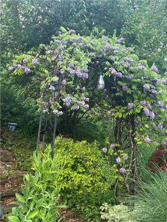 a view of flowers in a garden