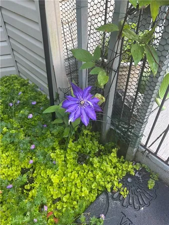 a picture of flowers