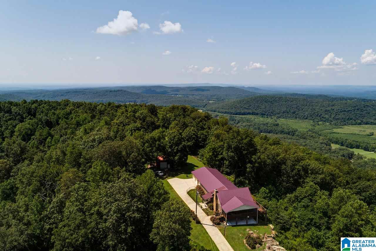 1458 Warnock Peak Road Hayden, AL 35079 - Photo 5 of 50