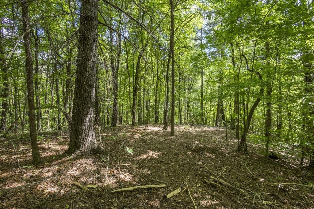 34 Donley Road Murphy, NC 28906 - Photo 17 of 37 Gallery Image 17