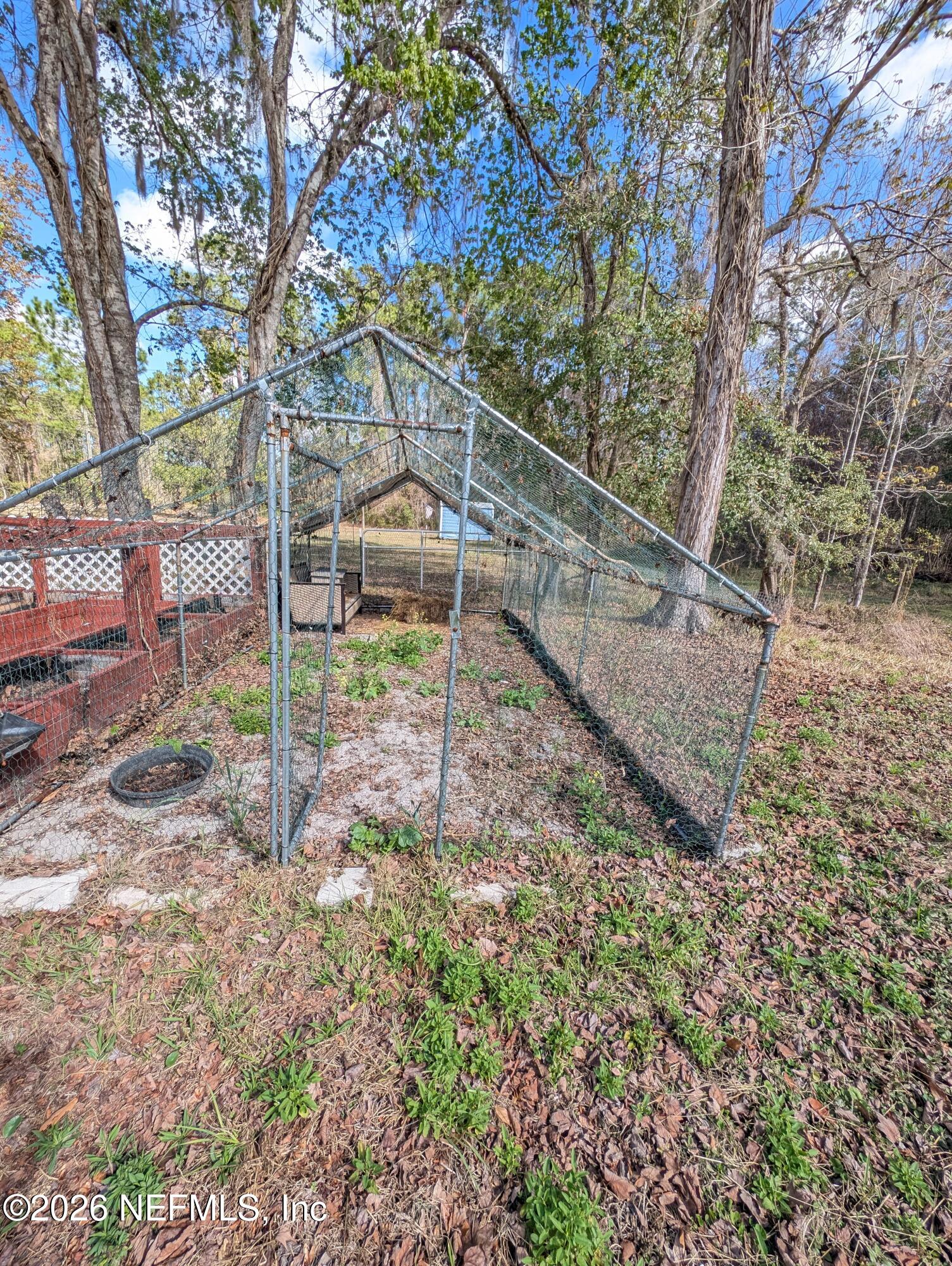 114 Durden Road Interlachen, FL 32148 - Photo 23 of 30 a view of a yard with plants and a bench