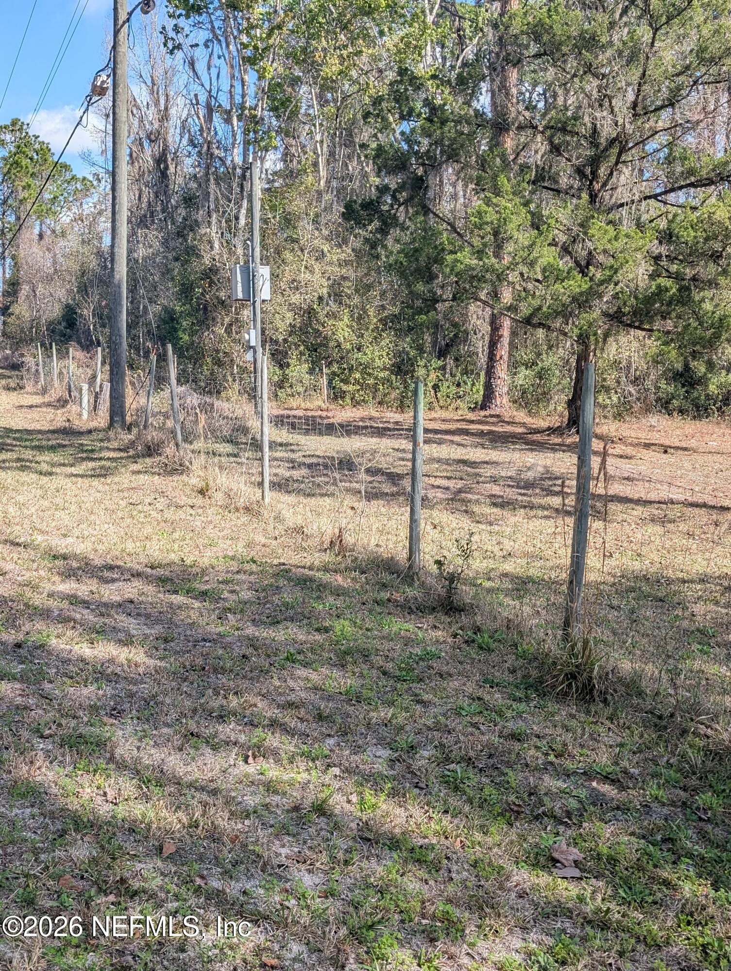 114 Durden Road Interlachen, FL 32148 - Photo 29 of 30 a view of a yard with trees